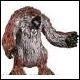 OwlbearCamus OwlbearCamus