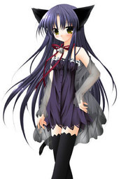 catgril28 catgril28
