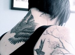 blackbirdpirate blackbirdpirate