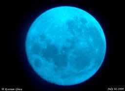 LunaM LunaM
