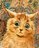 SkepticalCat0_o SkepticalCat0_o