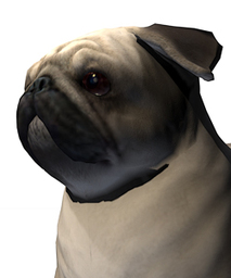 baddog117 baddog117