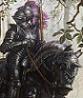 blackknightxiv blackknightxiv