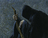 Apostle_O Apostle_O