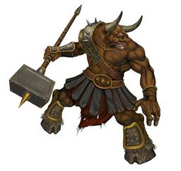 robert5 robert5
