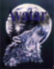 avatar1983 avatar1983
