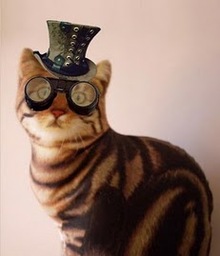 Meowselsworth Meowselsworth