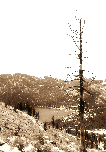 Donner Lake
