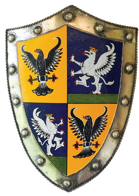 рыцарская геральдика. гербы на щитах рыцарей средневековья. вышивка фамильный герб. Coat of paint. Coat of paint.