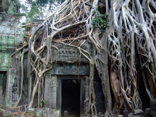 jungle-temple.jpg jungle-temple.jpg