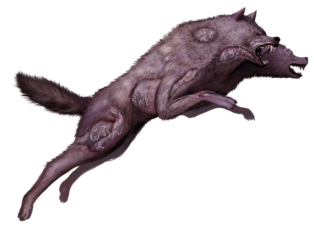 death_dog_by_davesrightmind-d6so7im.jpg death_dog_by_davesrightmind-d6so7im.jpg