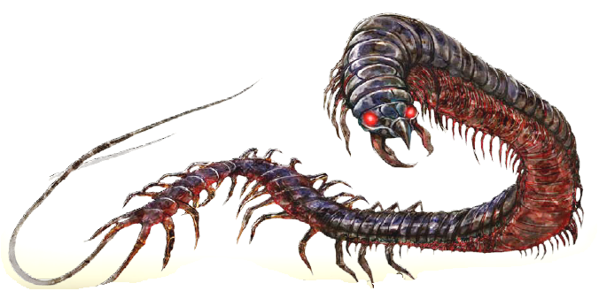 whiptail-centipede.png whiptail-centipede.png