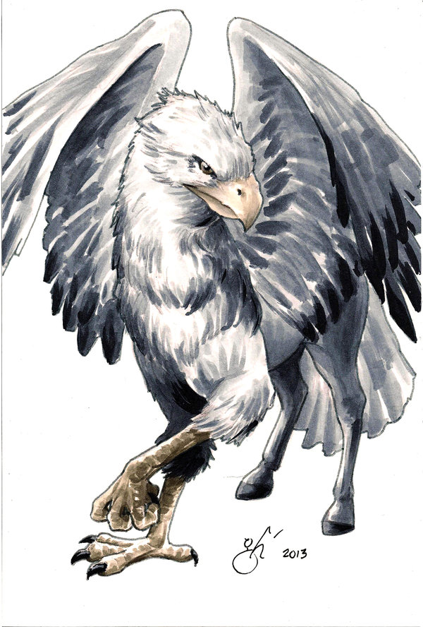 Image result for 5e hippogriff