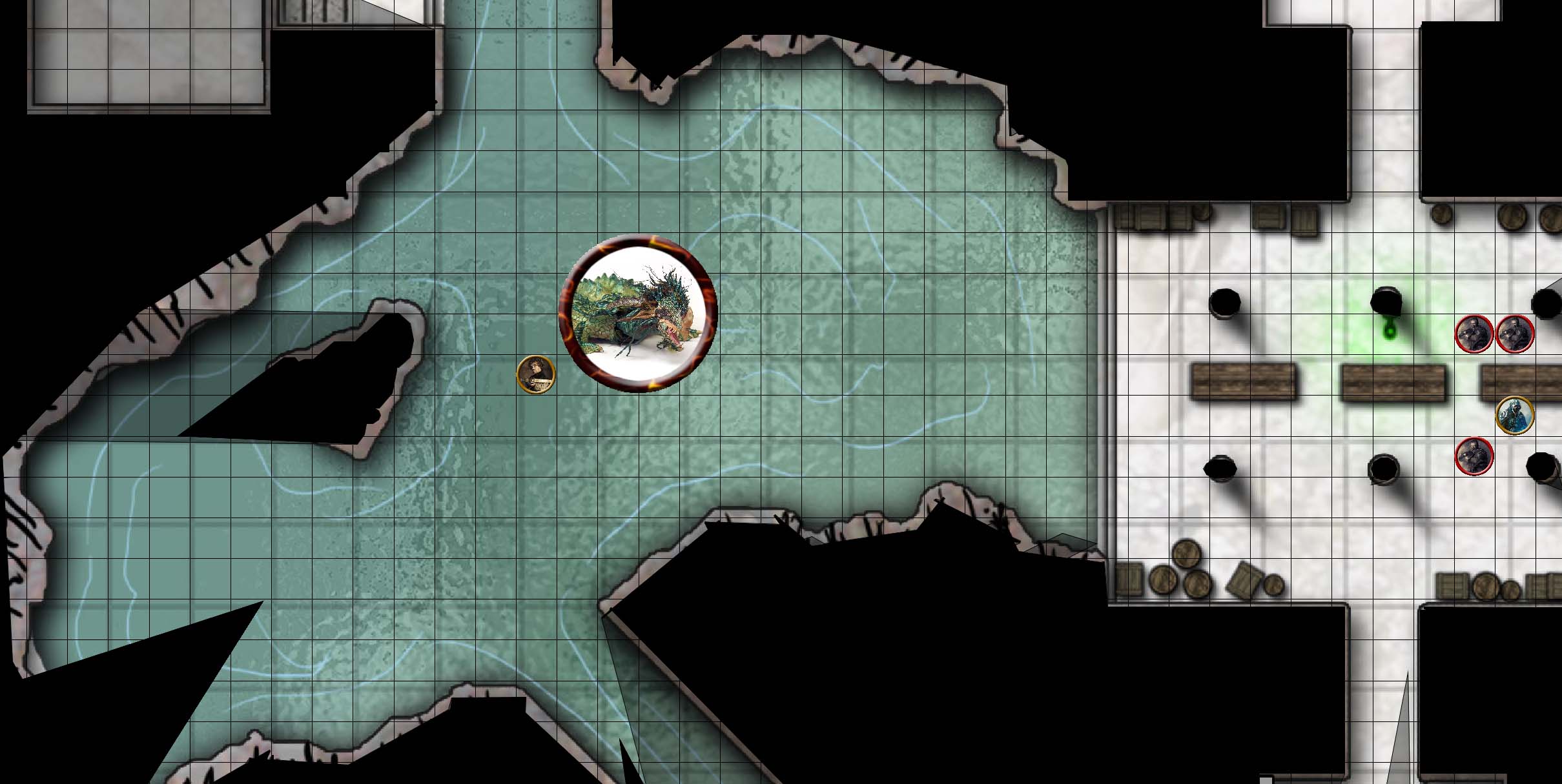 dragonturtle.jpg dragonturtle.jpg