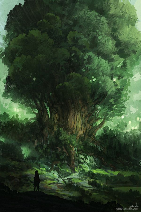 magic_tree.jpg magic_tree.jpg