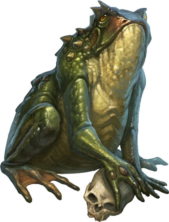 frog.jpg frog.jpg