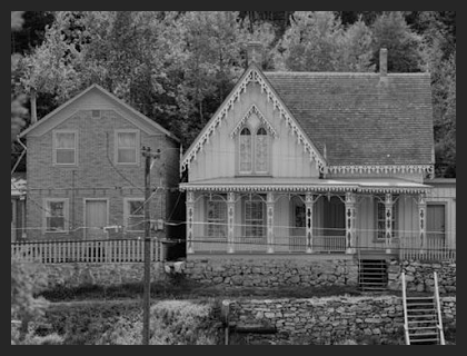 Lacewood_Small.jpg Lacewood_Small.jpg