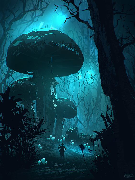 exploring.jpg exploring.jpg