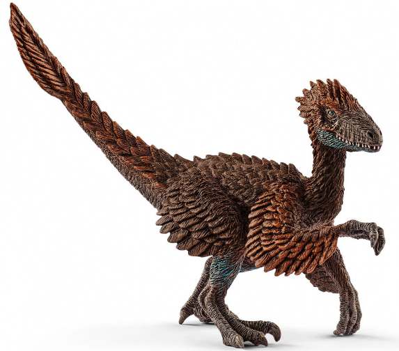 Feathered Velociraptor