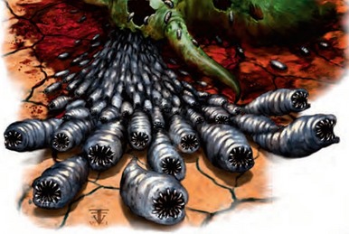 Rot Grubs