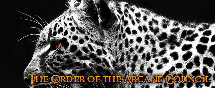 The order of the arcane council c