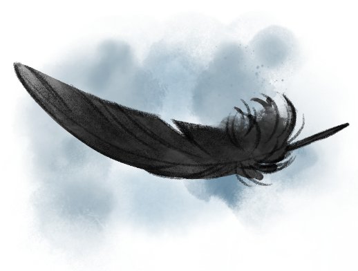 Ravens feather