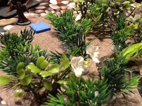 Ozzie_garden.png Ozzie_garden.png