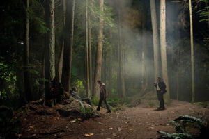 Purgatoryforest.jpg Purgatoryforest.jpg