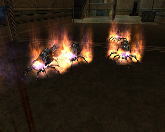 flaming_spiders.jpg flaming_spiders.jpg