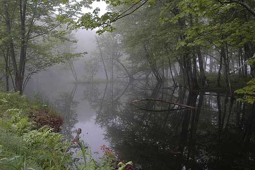 ky-river-02__1_.jpg ky-river-02__1_.jpg