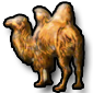 Chant-Boradrim.png Chant-Boradrim.png
