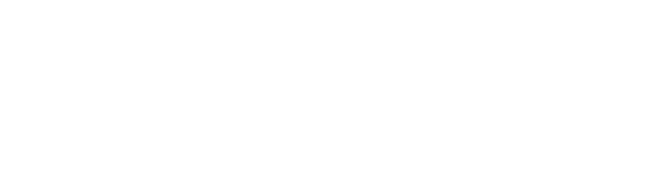 The Lord of the Rings Roleplaying