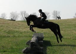 labonnita
