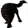 BlackDog