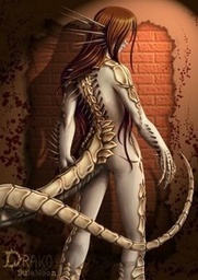 Reid_Nova