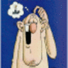 Bonehead