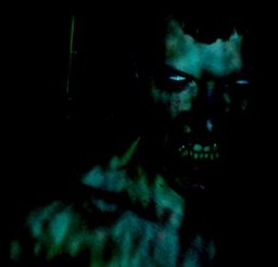 wrathofzombie