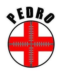 Pedro9237