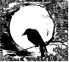 arashikarasu