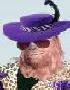 Chewie_8