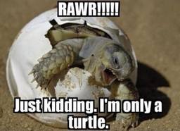 RyanWicks