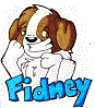 fidney