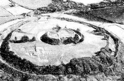 image 7 image 7