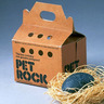 a_pet_rock