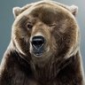 CosmicWarbear
