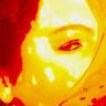 dawningyellowrose