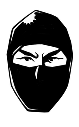 Agent13