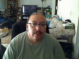 Saulster