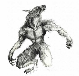 FenrisLoup