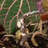 Bookmark5842